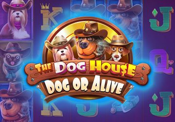 Microgaming - игровой автомат онлайн от Various с RTP 95.69%